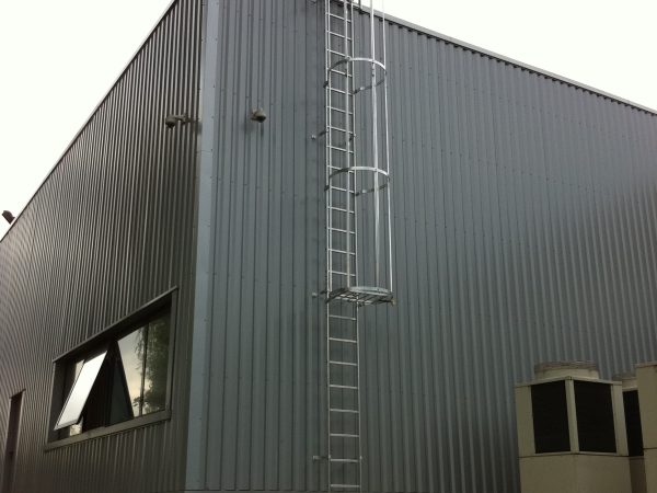 Échelle à crinoline