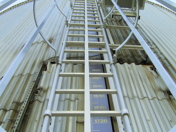 Échelle à crinoline